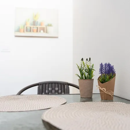 Appartement Dream Palace *